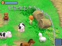 Harvest Moon: the Tale of Two Towns (Nintendo DS)