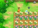 Harvest Moon: the Tale of Two Towns (Nintendo DS)