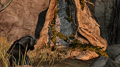 Dark Souls II Scholar of the First Sin